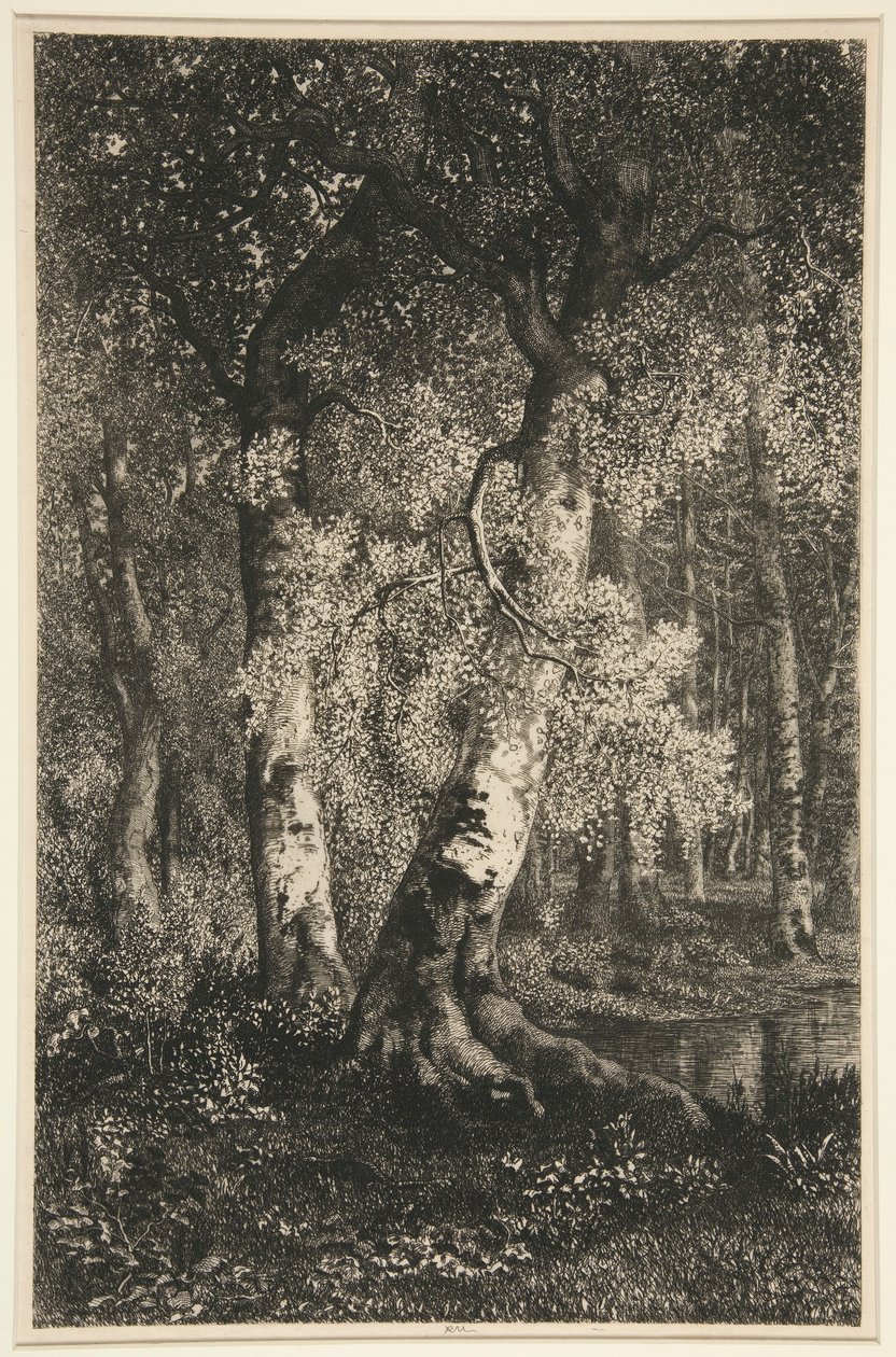 Les hêtres - Adolphe Martial Potemont
