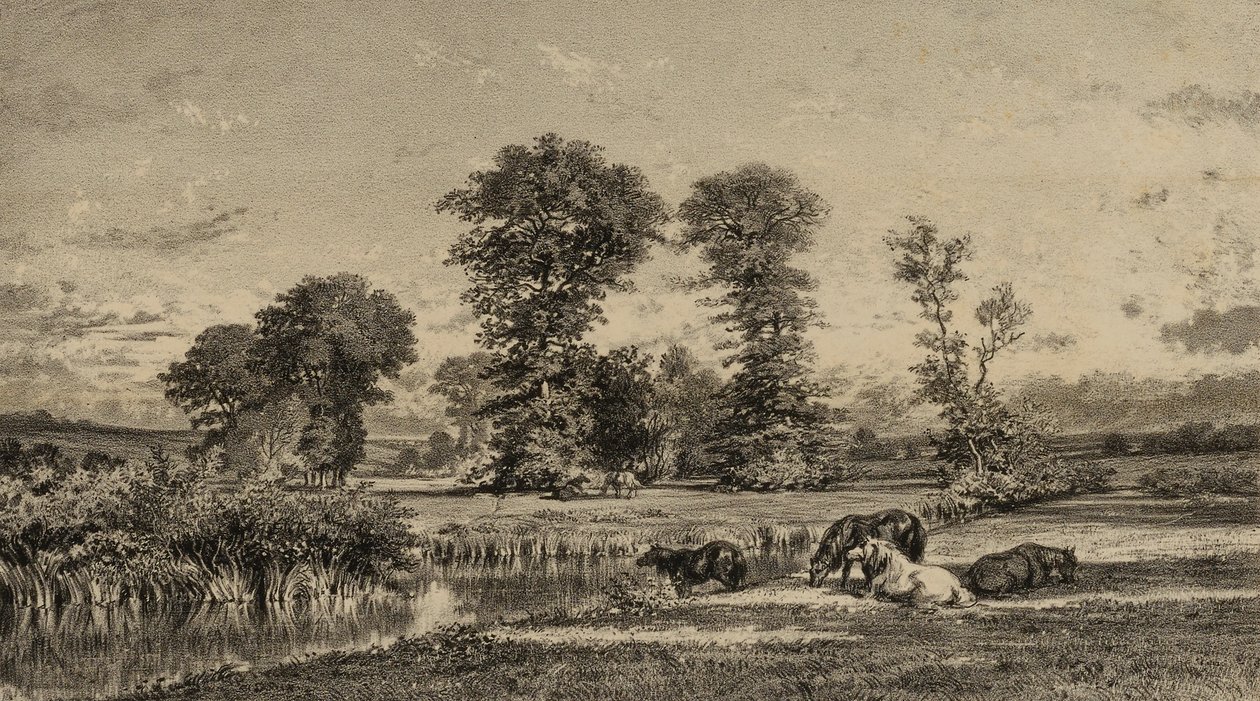 Chevaux au pâturage - Adolphe Mouilleron
