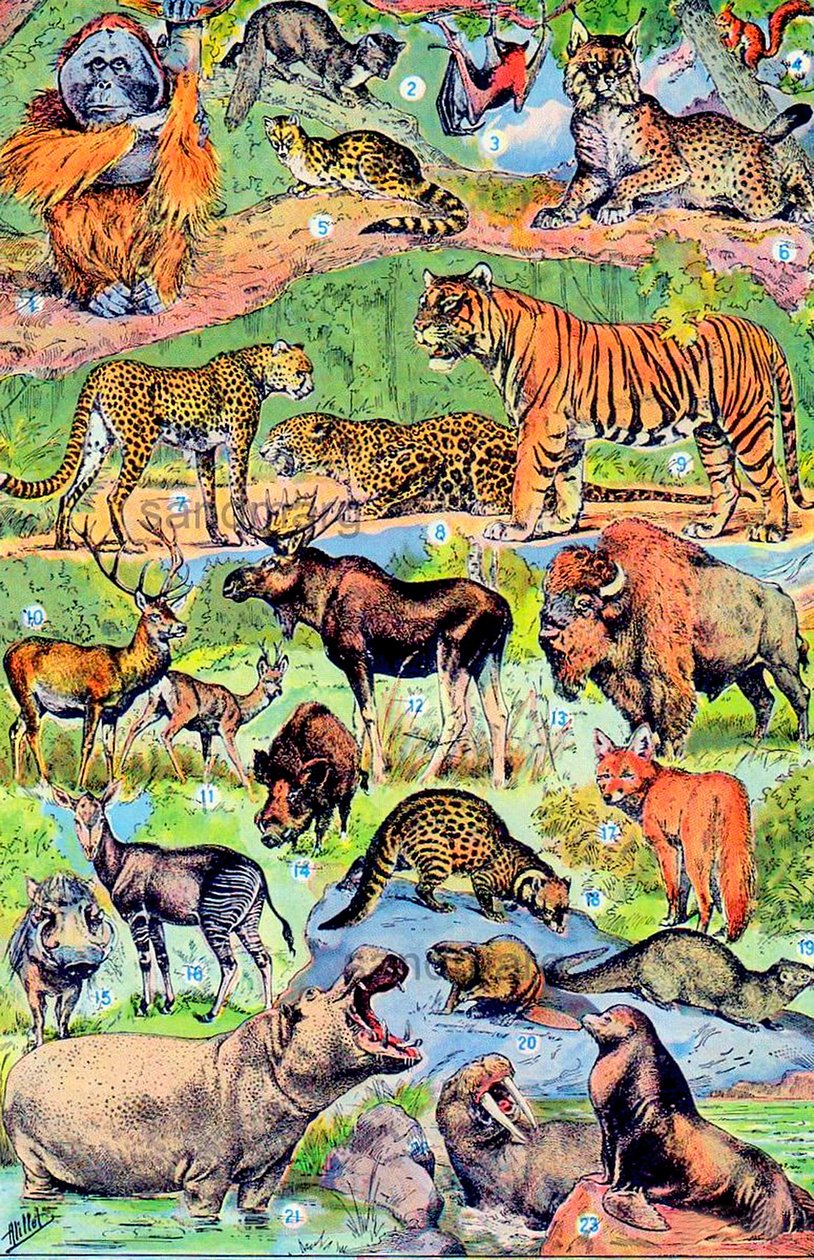 Illustration d