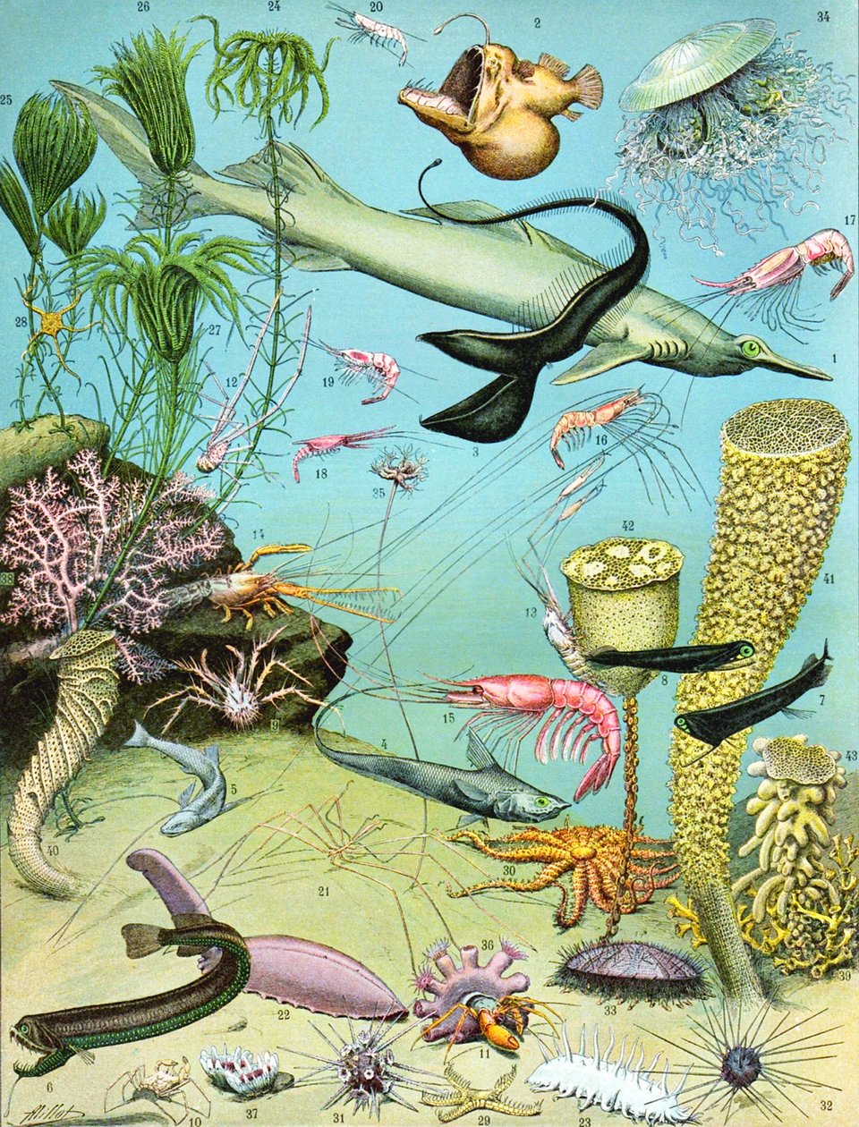 Illustration d