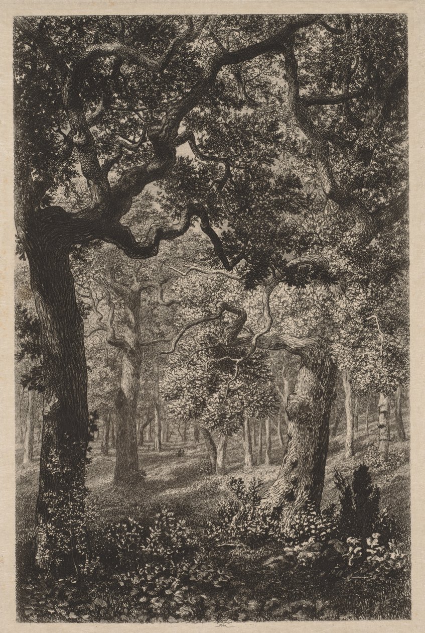 Dans les bois - Adolphe Théodore Jules Martial Potémont