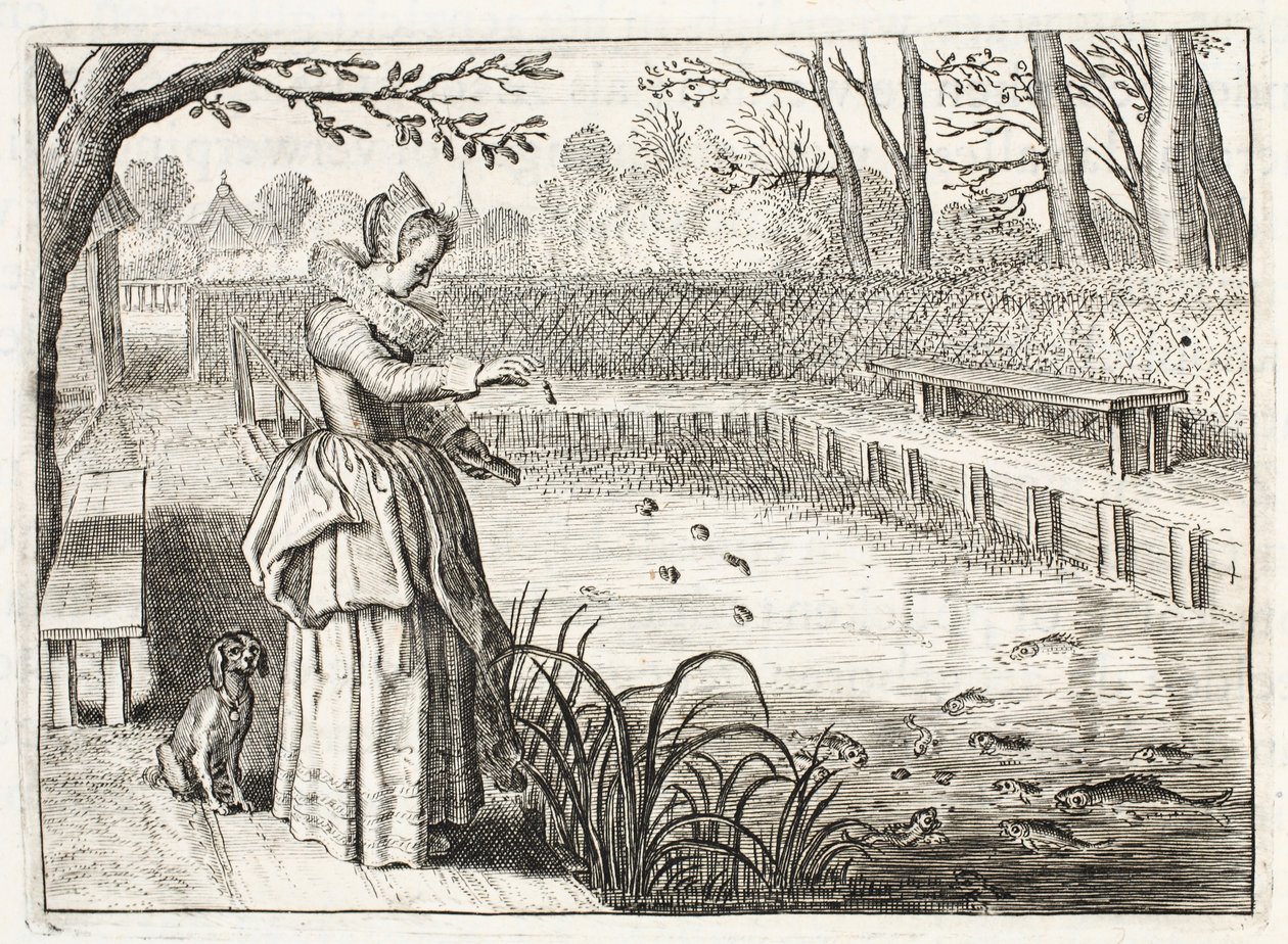 Nourrir les poissons, illustration de 