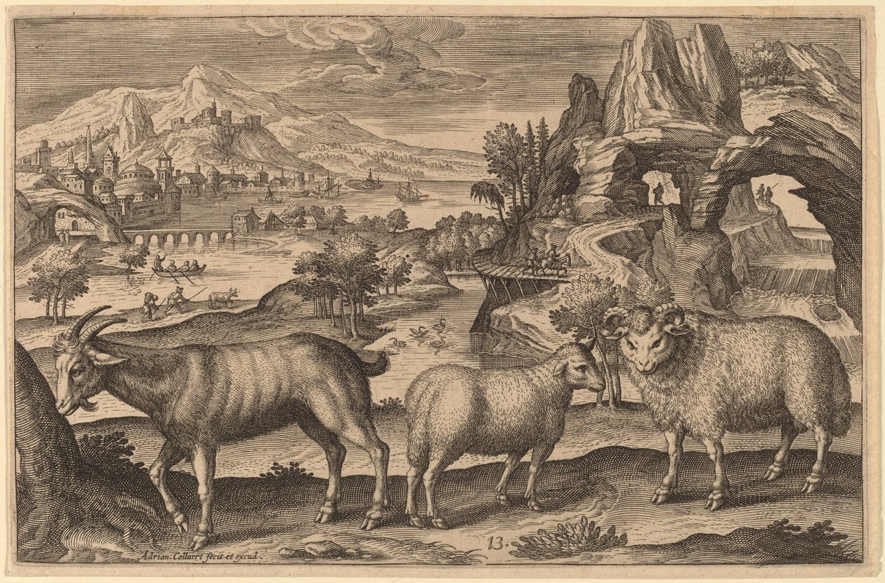 Une chèvre, une brebis et un bélier - Adriaen Collaert