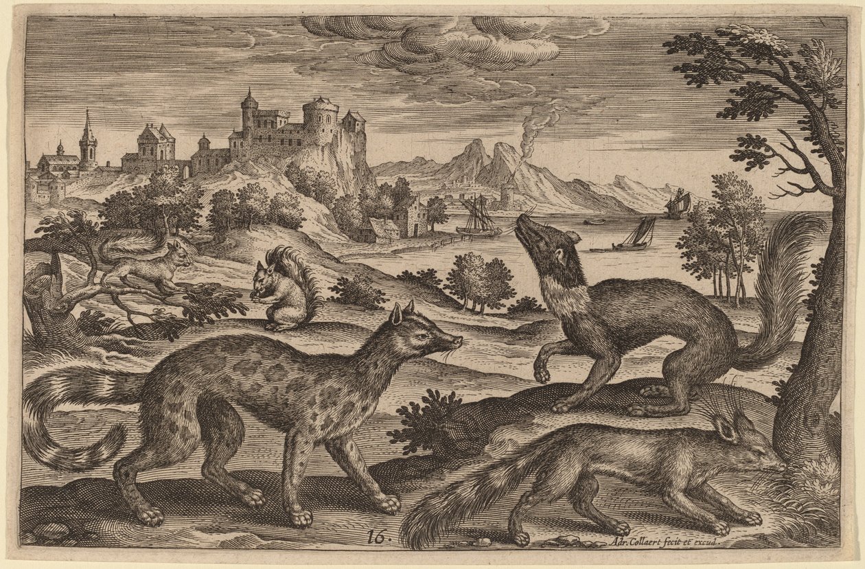Belettes et Écureuils - Adriaen Collaert