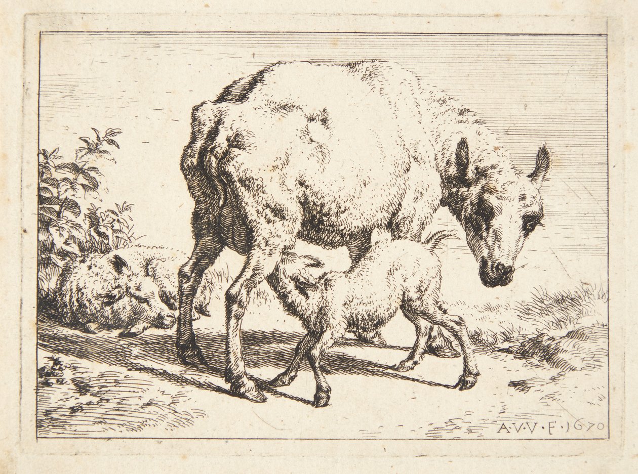 Moutons et deux agneaux - Adriaen van de Velde