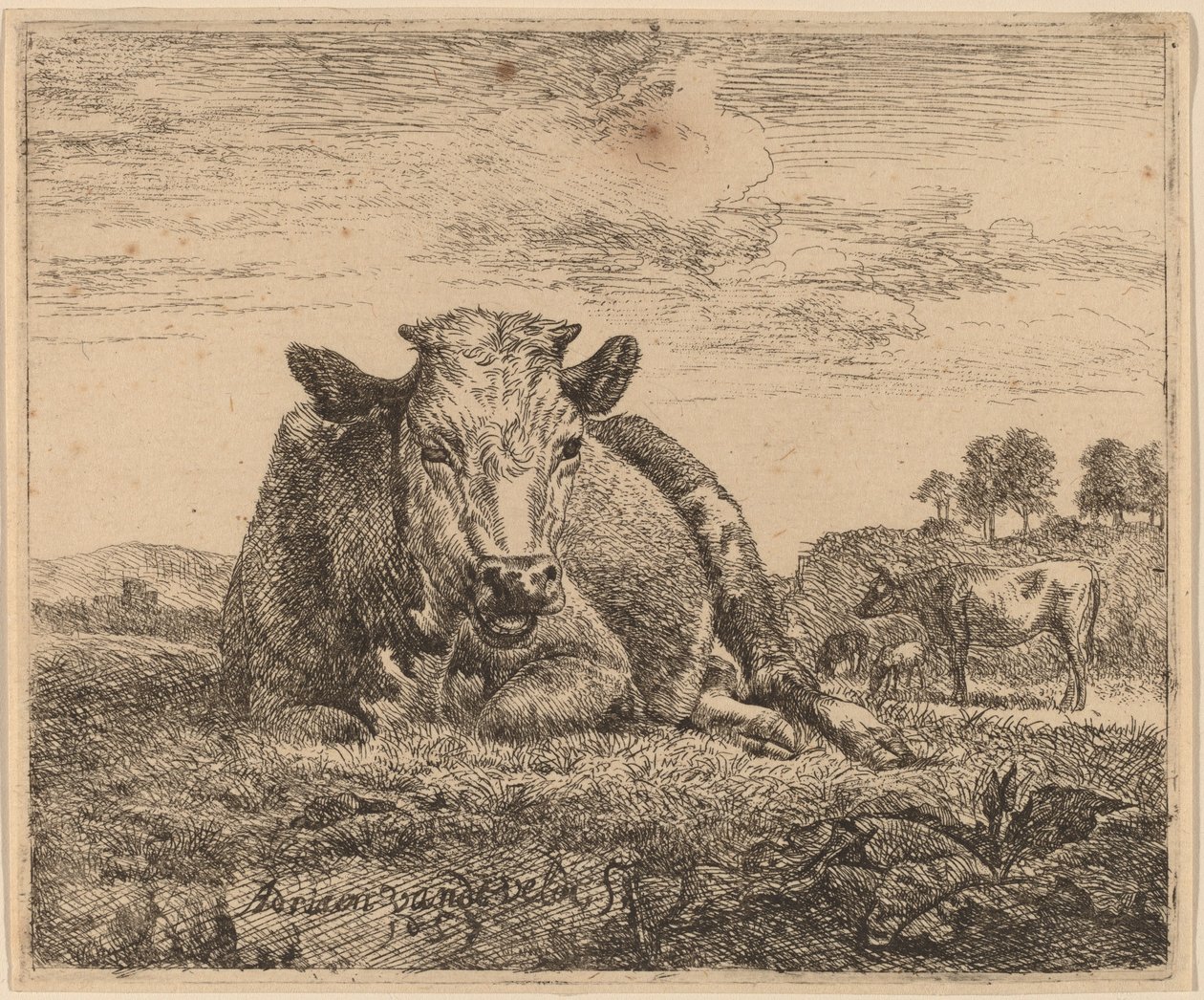 Vache couchée - Adriaen van de Velde