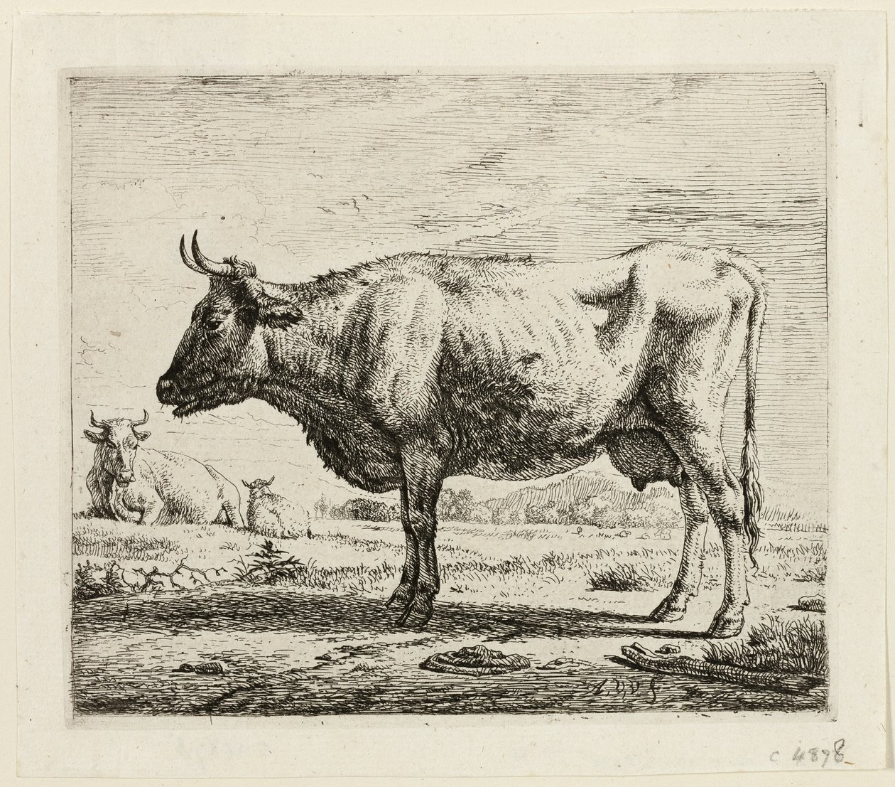 Deux vaches et un mouton - Adriaen van de Velde