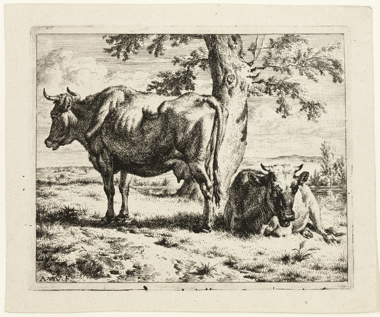 Deux vaches sous un arbre - Adriaen van de Velde