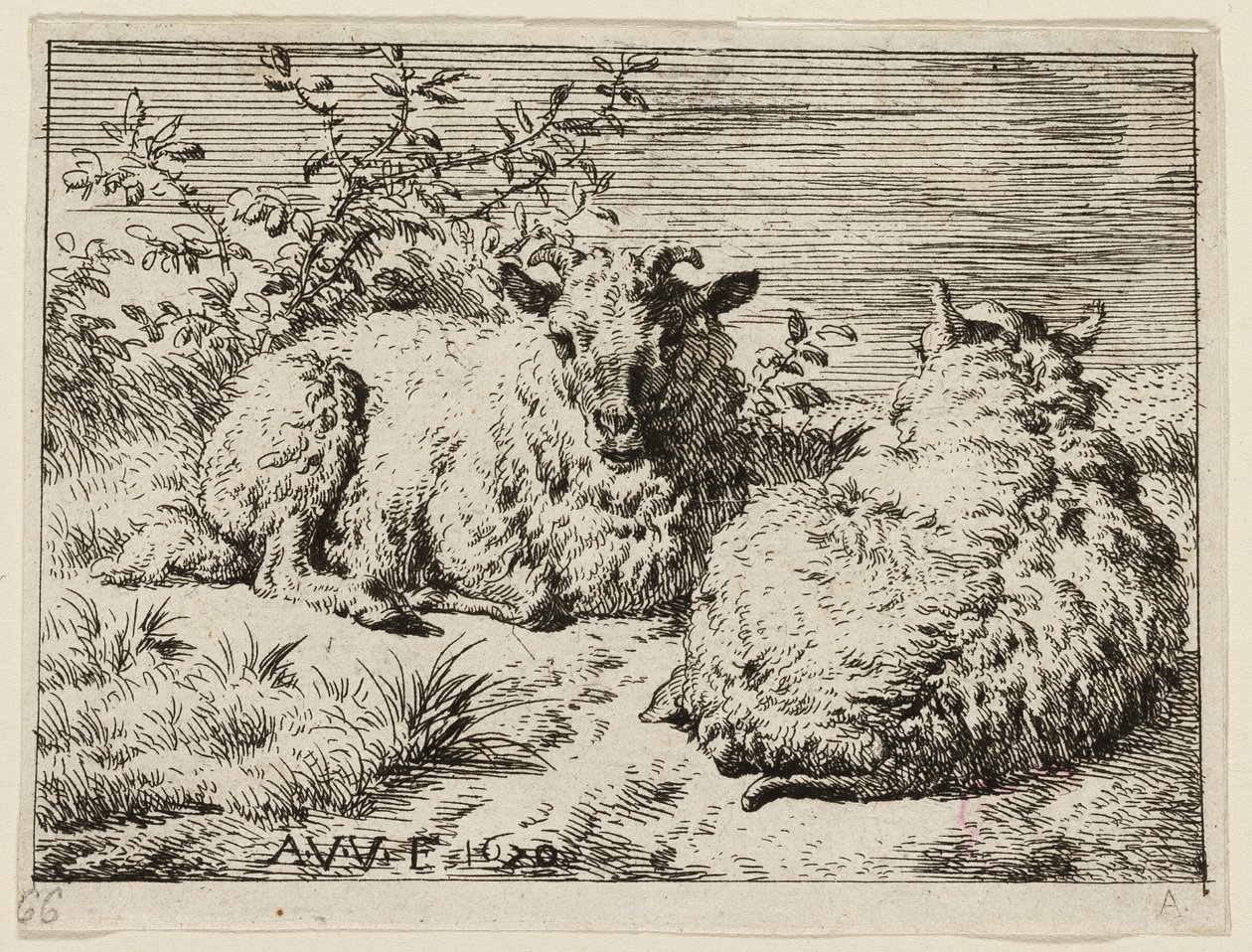 Deux moutons - Adriaen van de Velde
