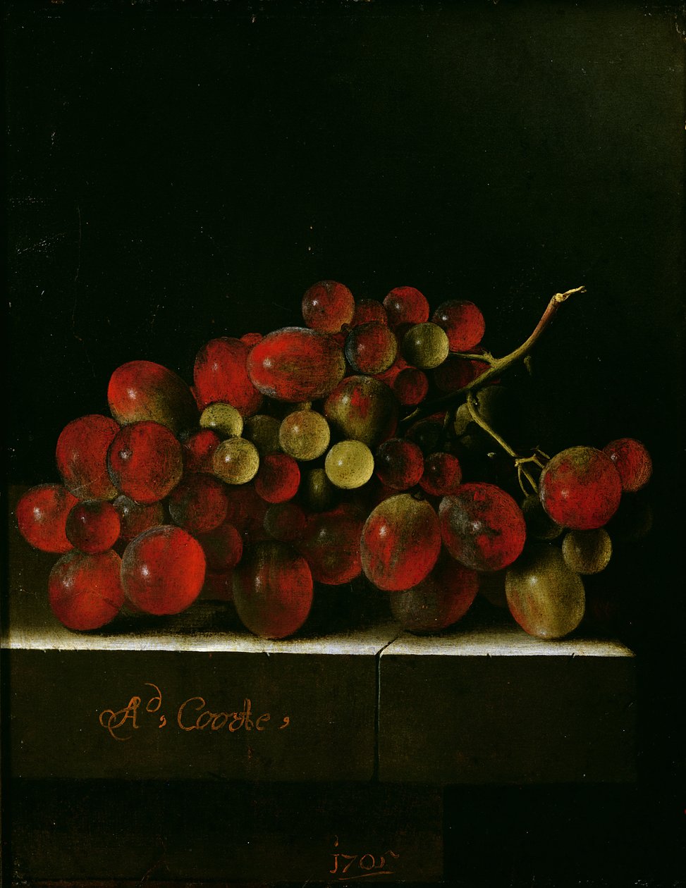 Grappe de Raisins, 1705 - Adrian Coorte