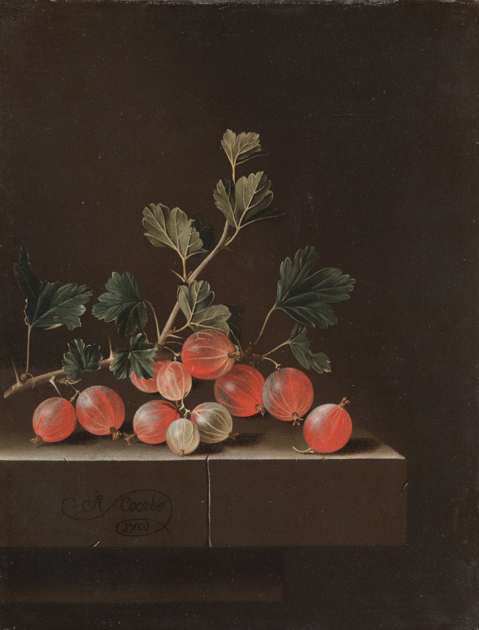 Groseilles sur une table, 1701 - Adrian Coorte