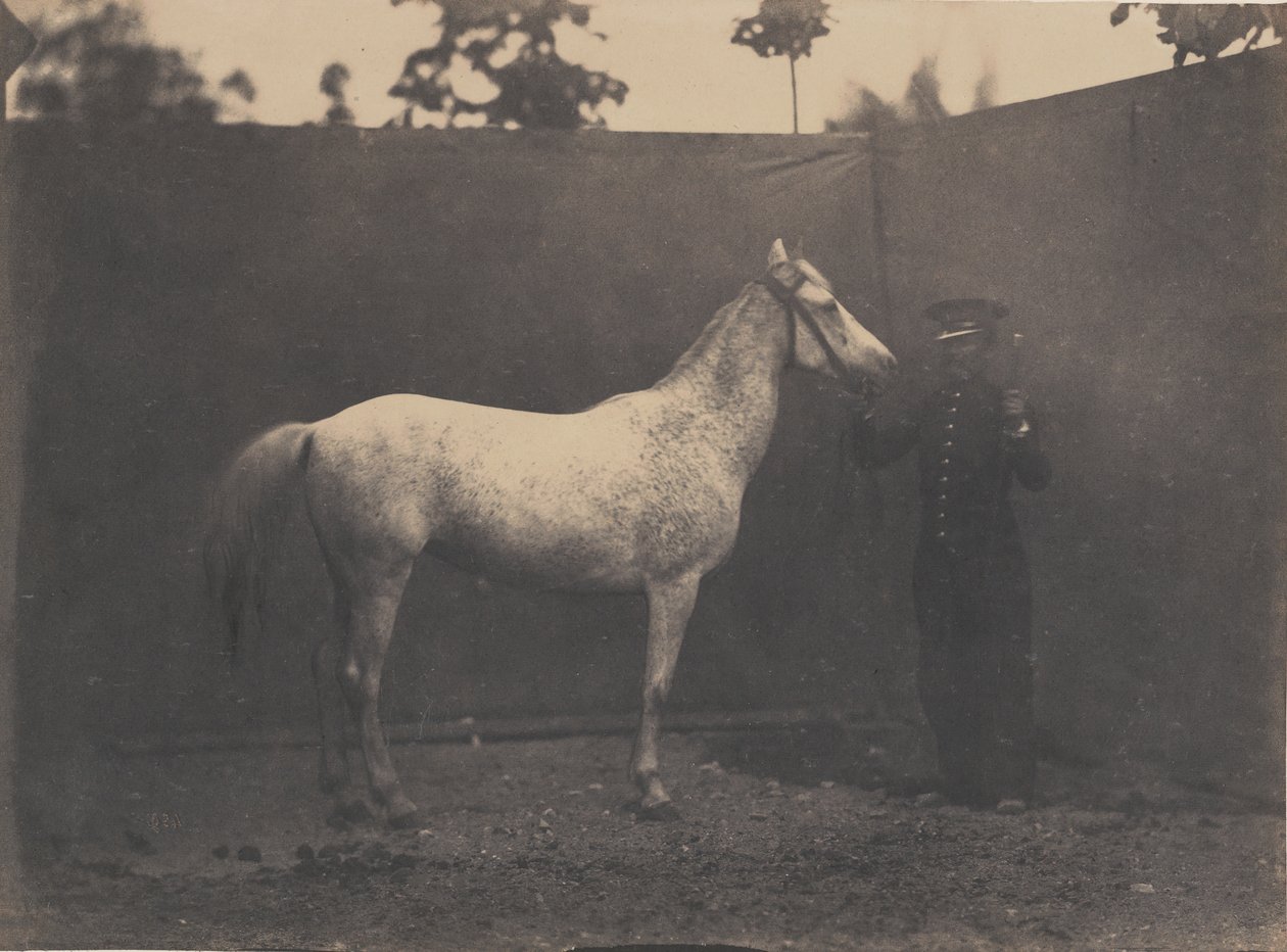 Pascaline, vers 1855-1860 - Adrien Alban Tournachon