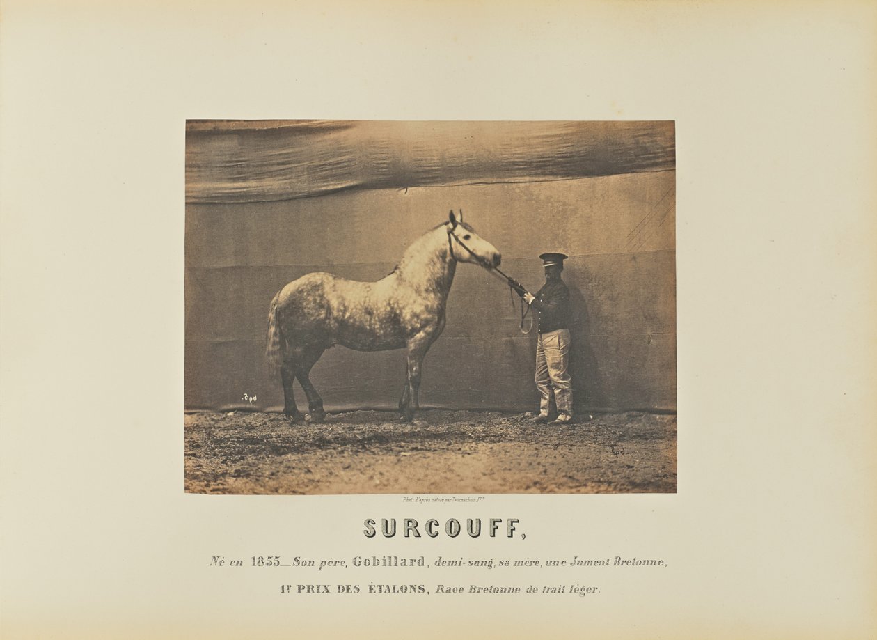 Surcouff - Adrien Alban Tournachon