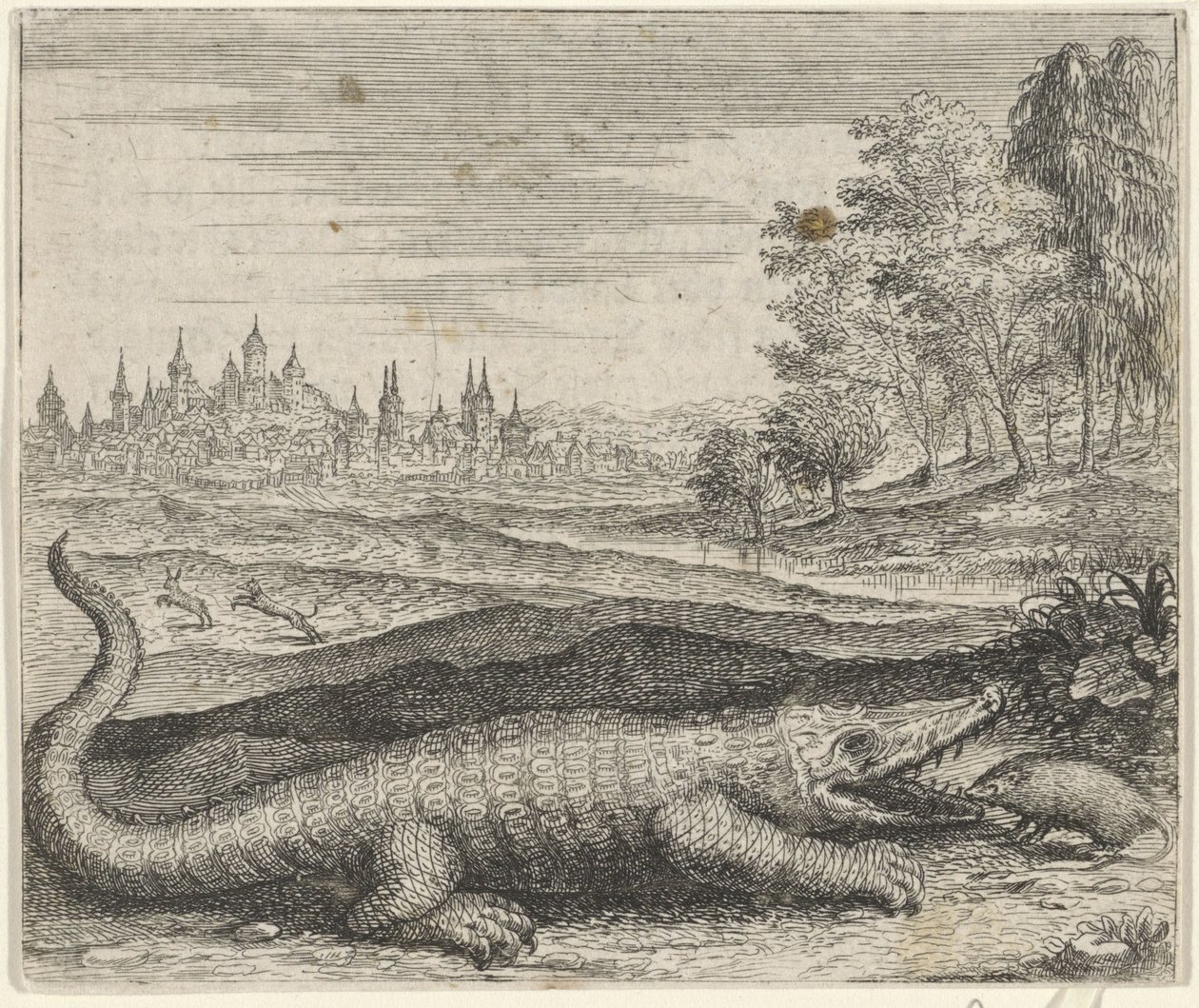 Fable du crocodile et de la mangouste - Egidius  Sadeler (II)