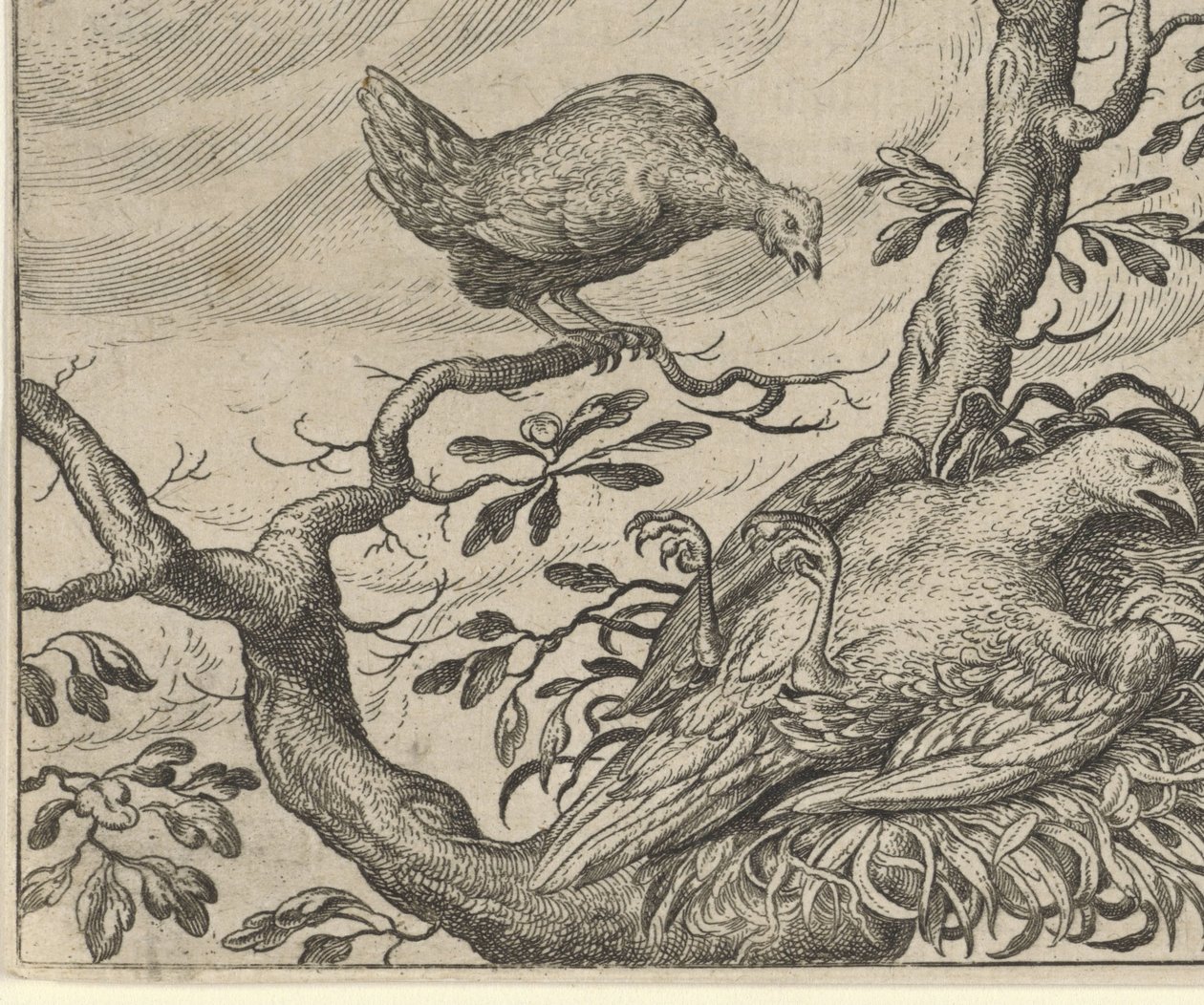 Fable du vautour malade - Egidius  Sadeler (II)