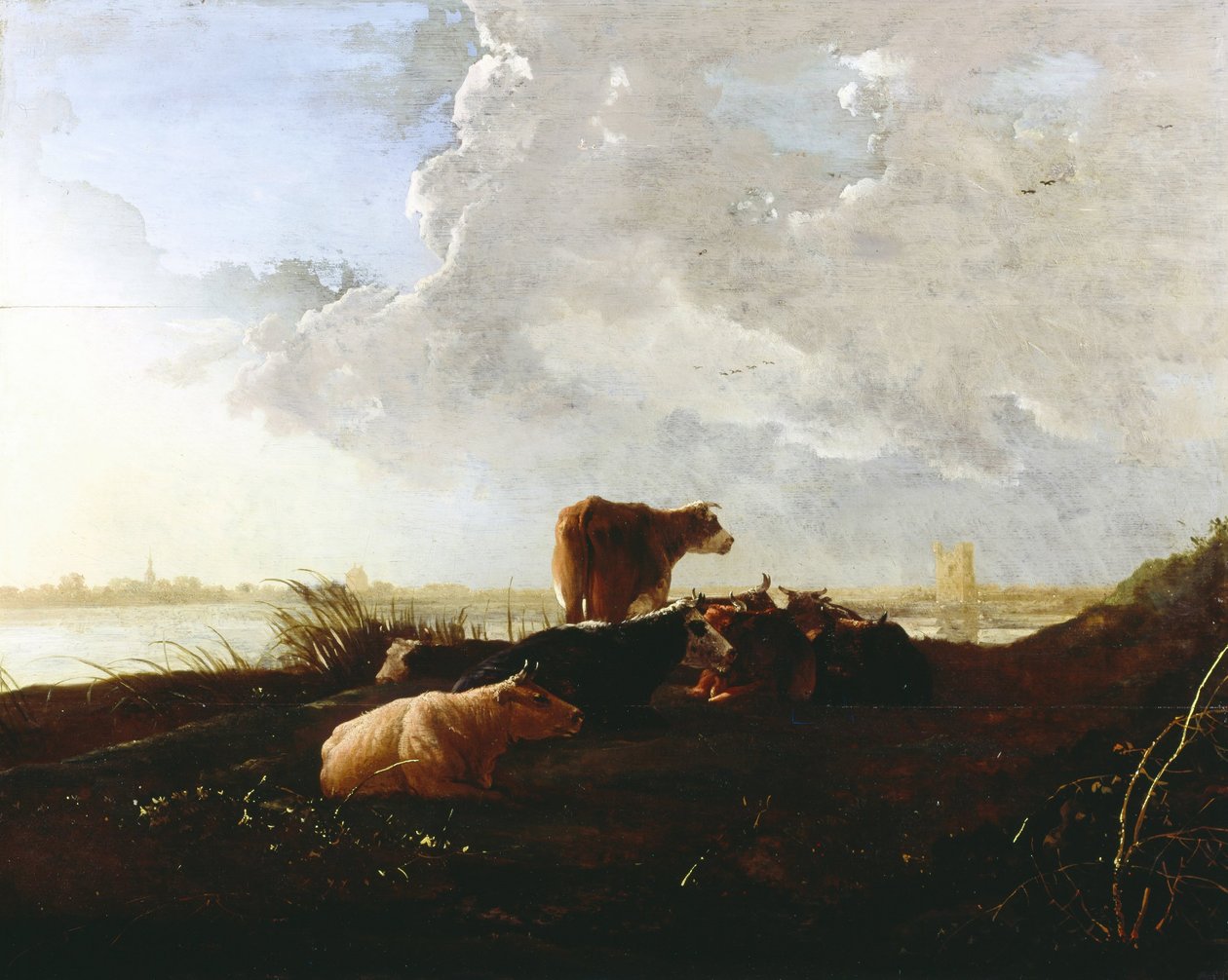 Bétail près d