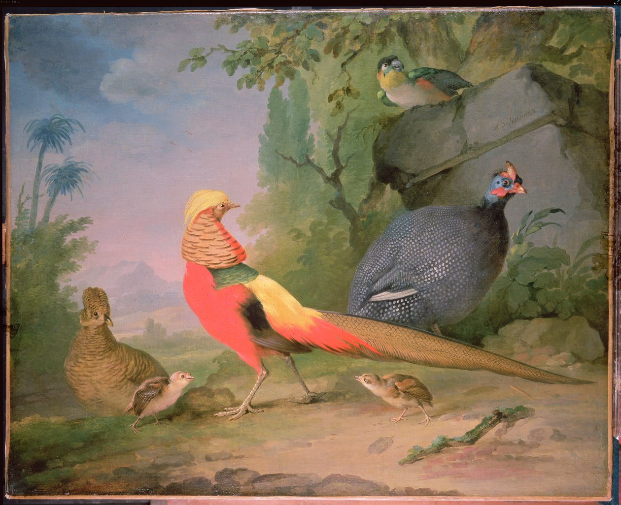 Oiseaux sauvages - Aert Schouman