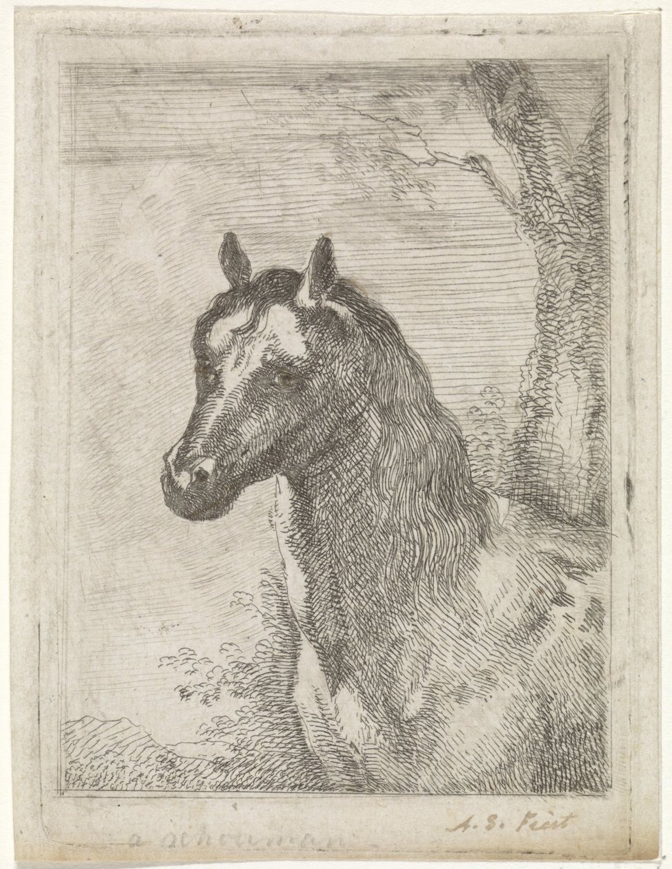 Tête de cheval - Aert Schouman (signed by artist)