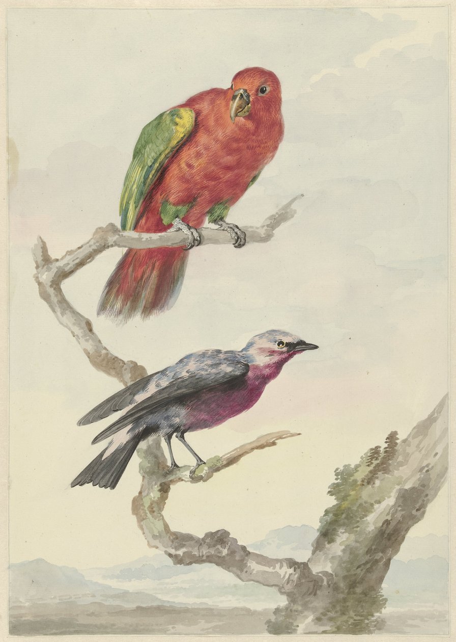Deux oiseaux, dont un perroquet rouge et vert - Aert Schouman
