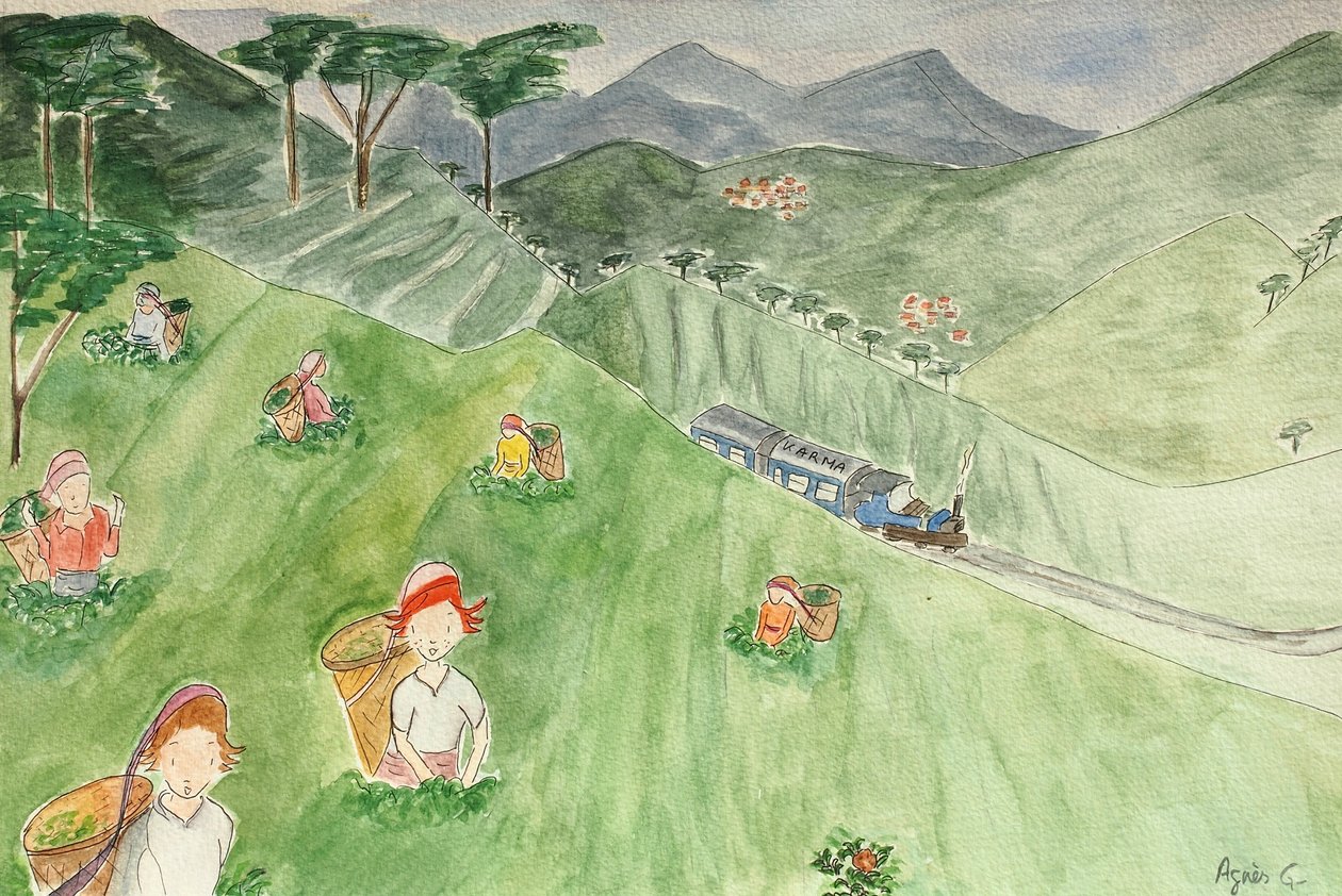 Le Voyage, Darjeeling, 2015 - Agnes Girardon
