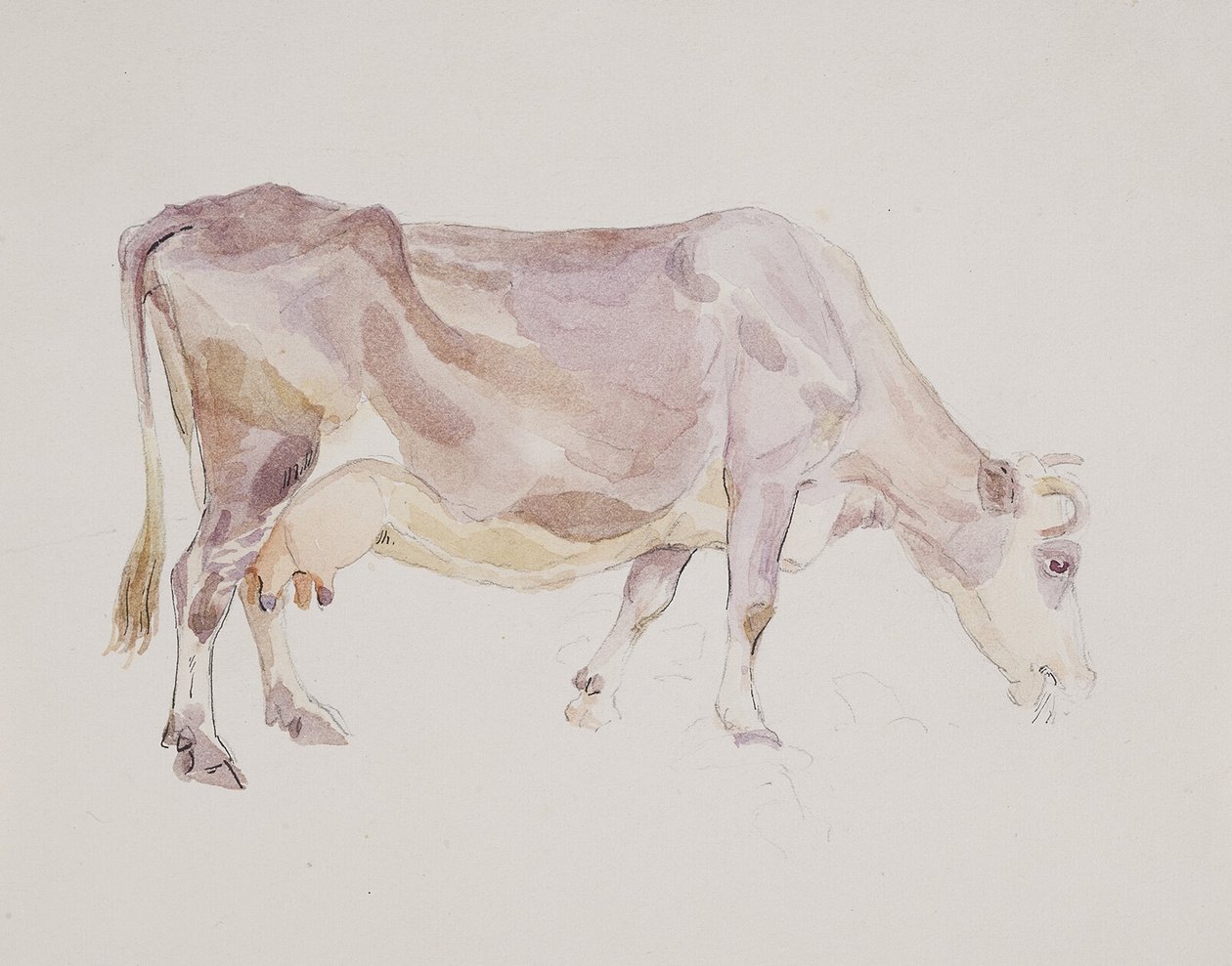 Vache debout - Agnes Lunn