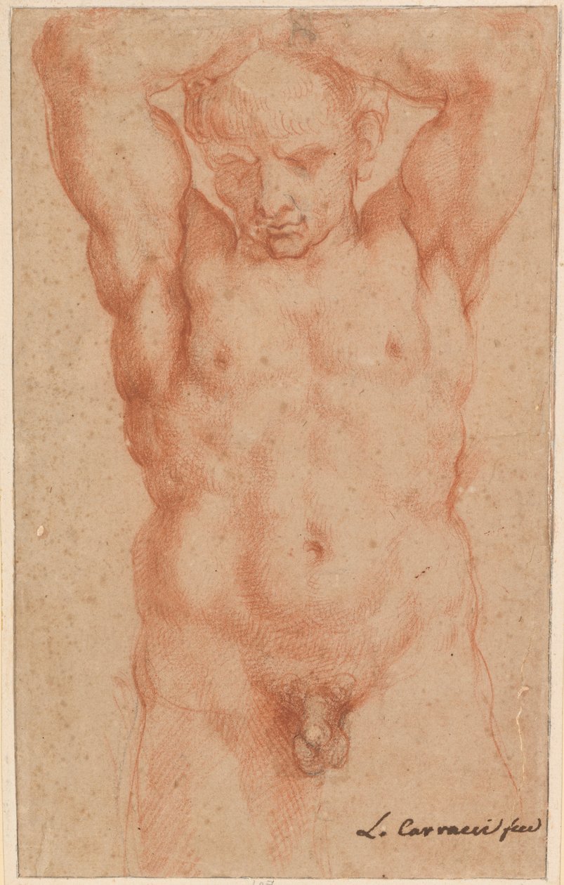 Nu masculin - Agostino Carracci