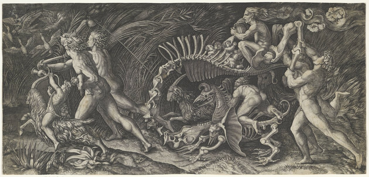 La carcasse - Agostino Veneziano