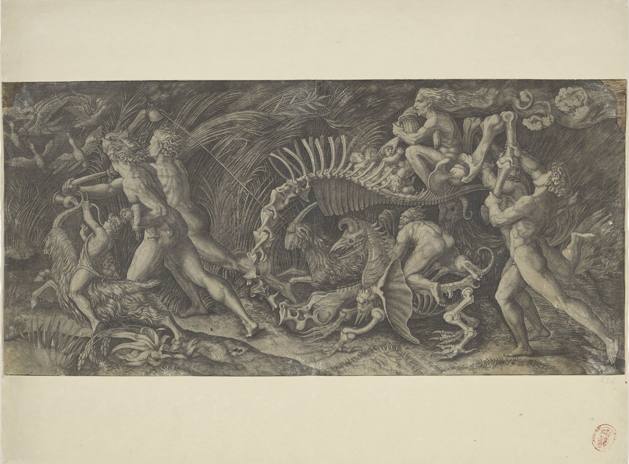 La carcasse - Agostino Veneziano