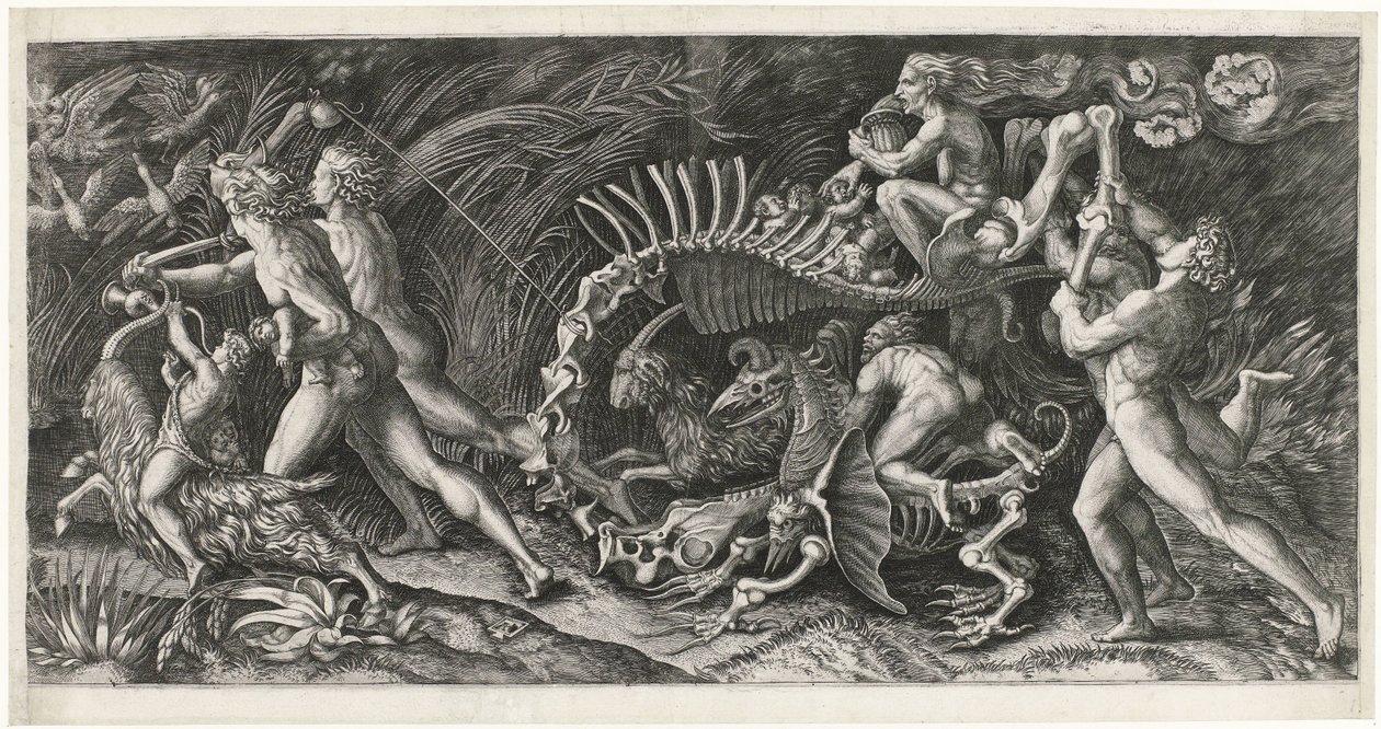 La carcasse - Agostino Veneziano