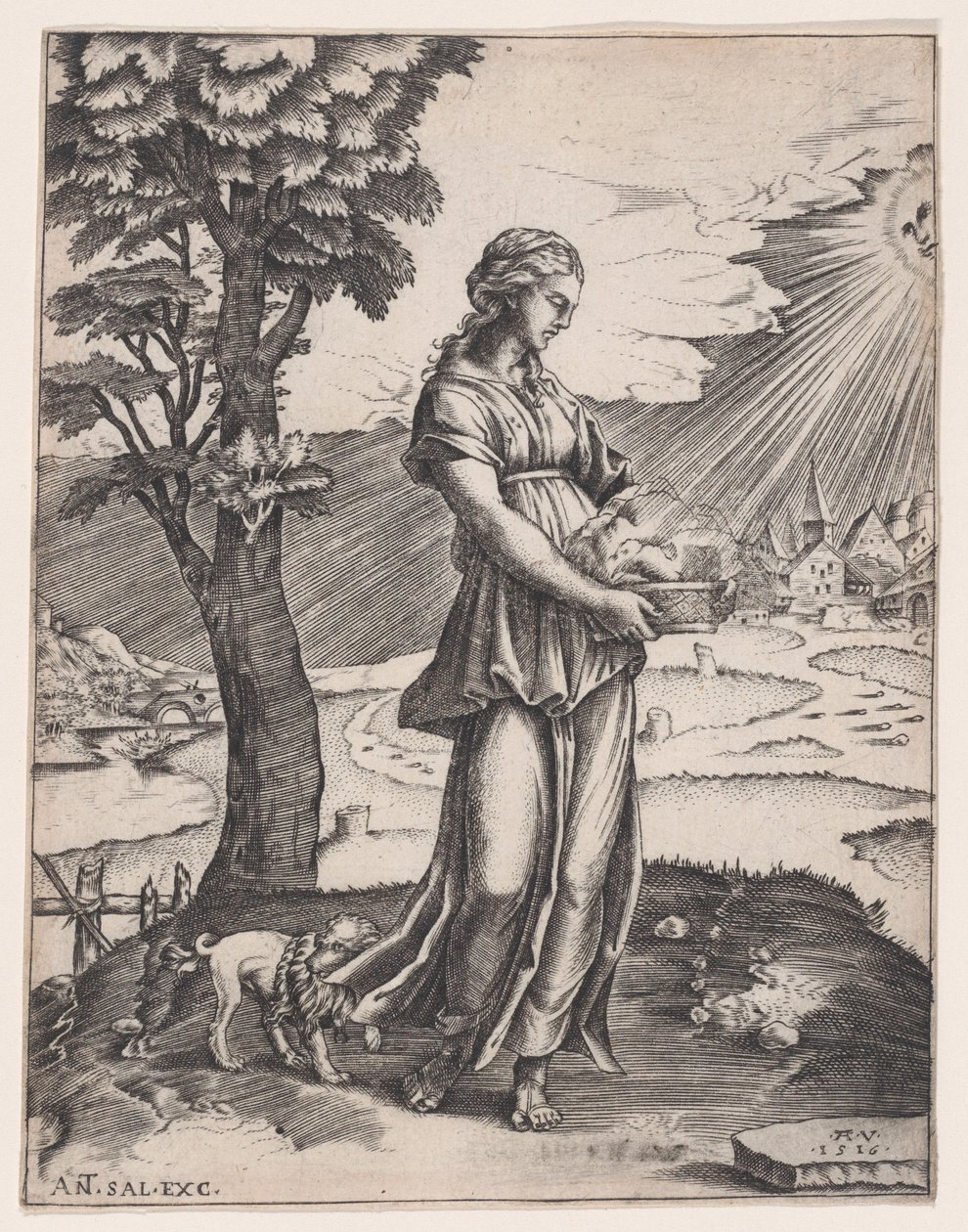 La Sibylle de Cumes - Agostino Veneziano