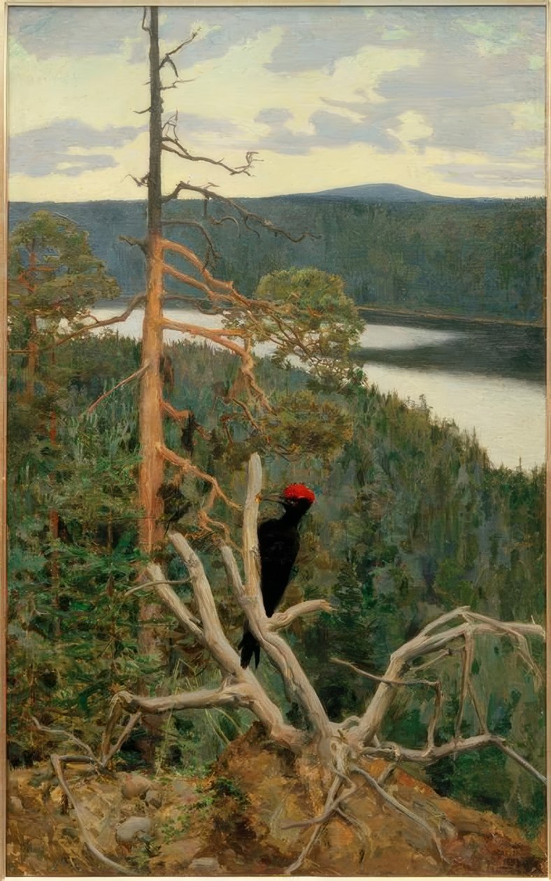 Le grand pic noir - Akseli Valdemar Gallen Kallela