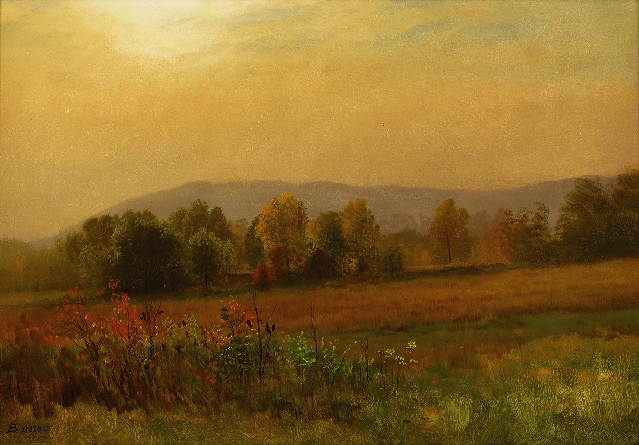 Paysage d