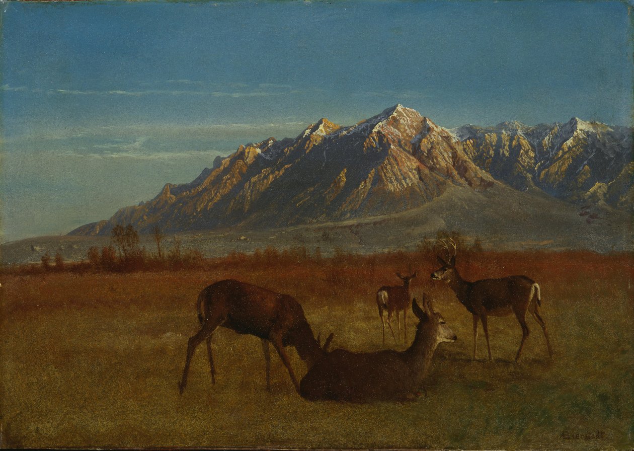 Cerfs dans la montagne - Albert Bierstadt
