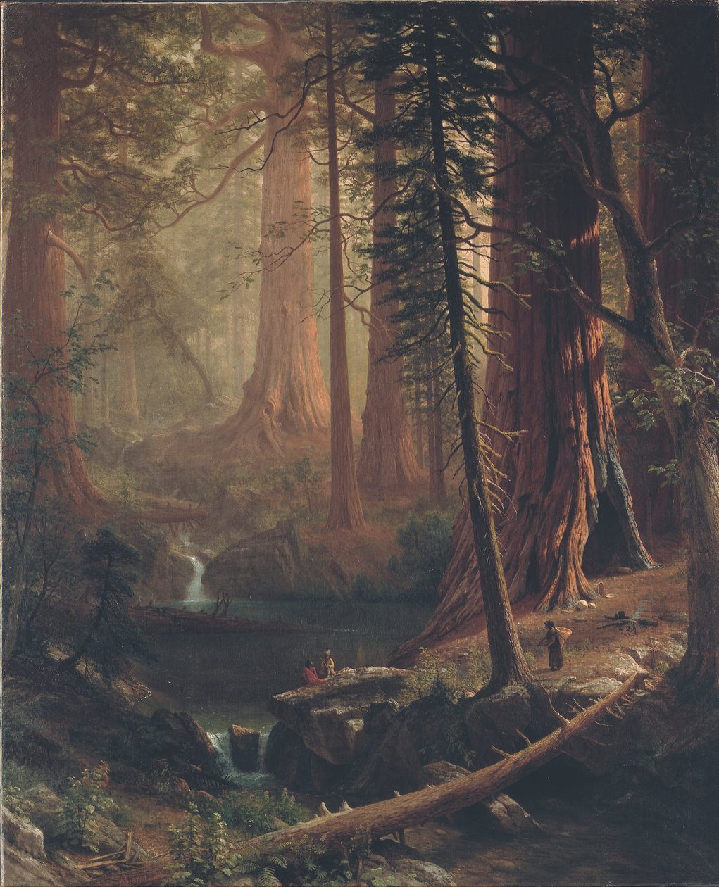 Séquoias géants de Californie - Albert Bierstadt