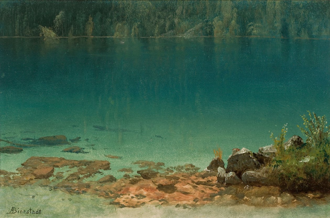 Scène de lac - Albert Bierstadt