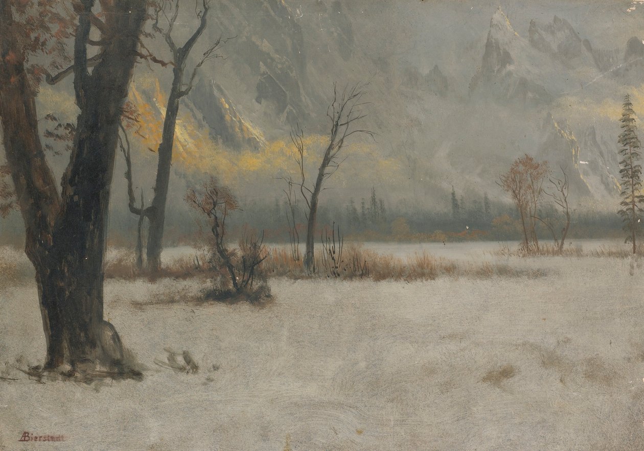 Paysage d