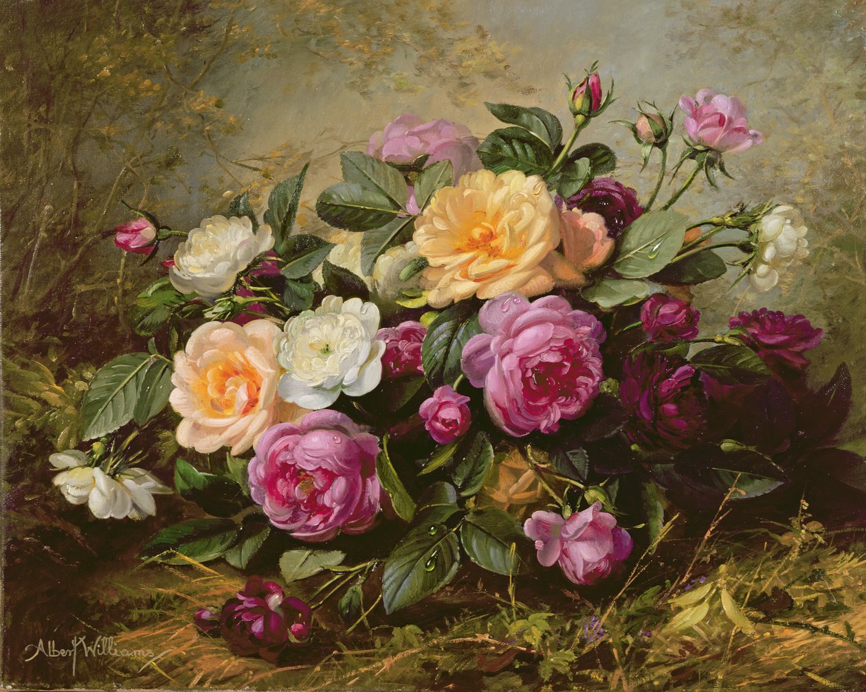 Roses épanouies - Albert Williams