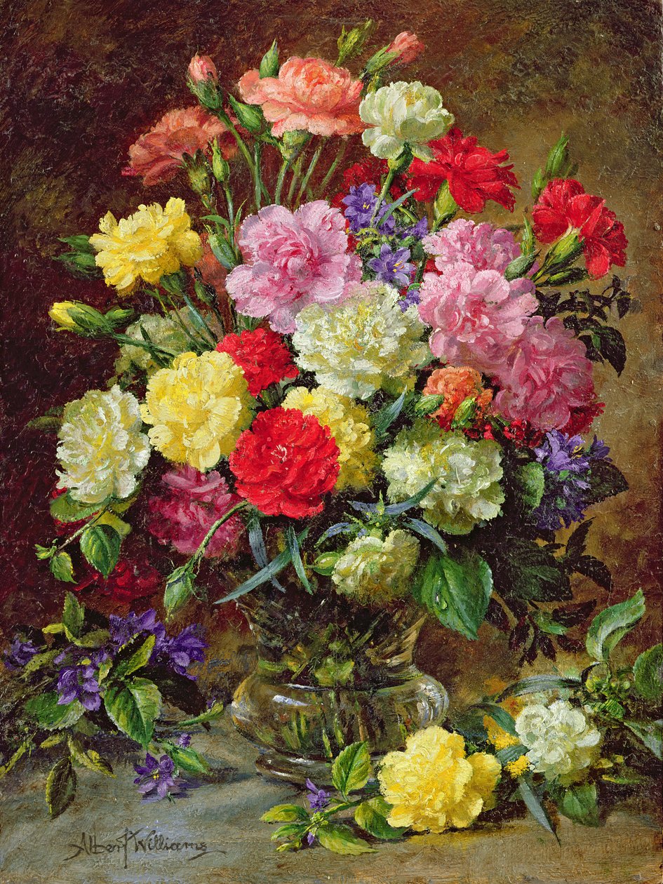 Œillets de couleurs éclatantes - Albert Williams