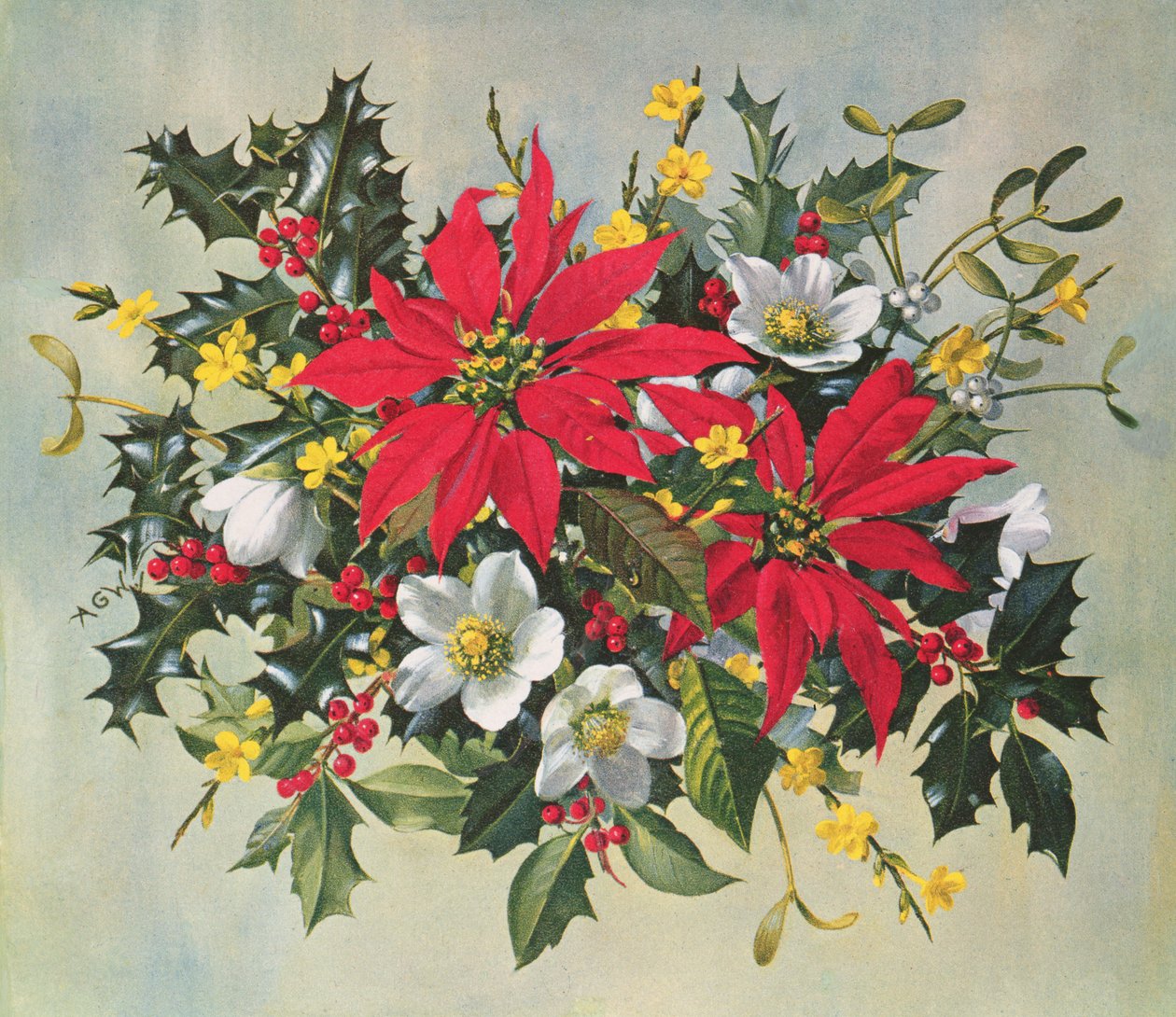Fleurs de Noël - Albert Williams