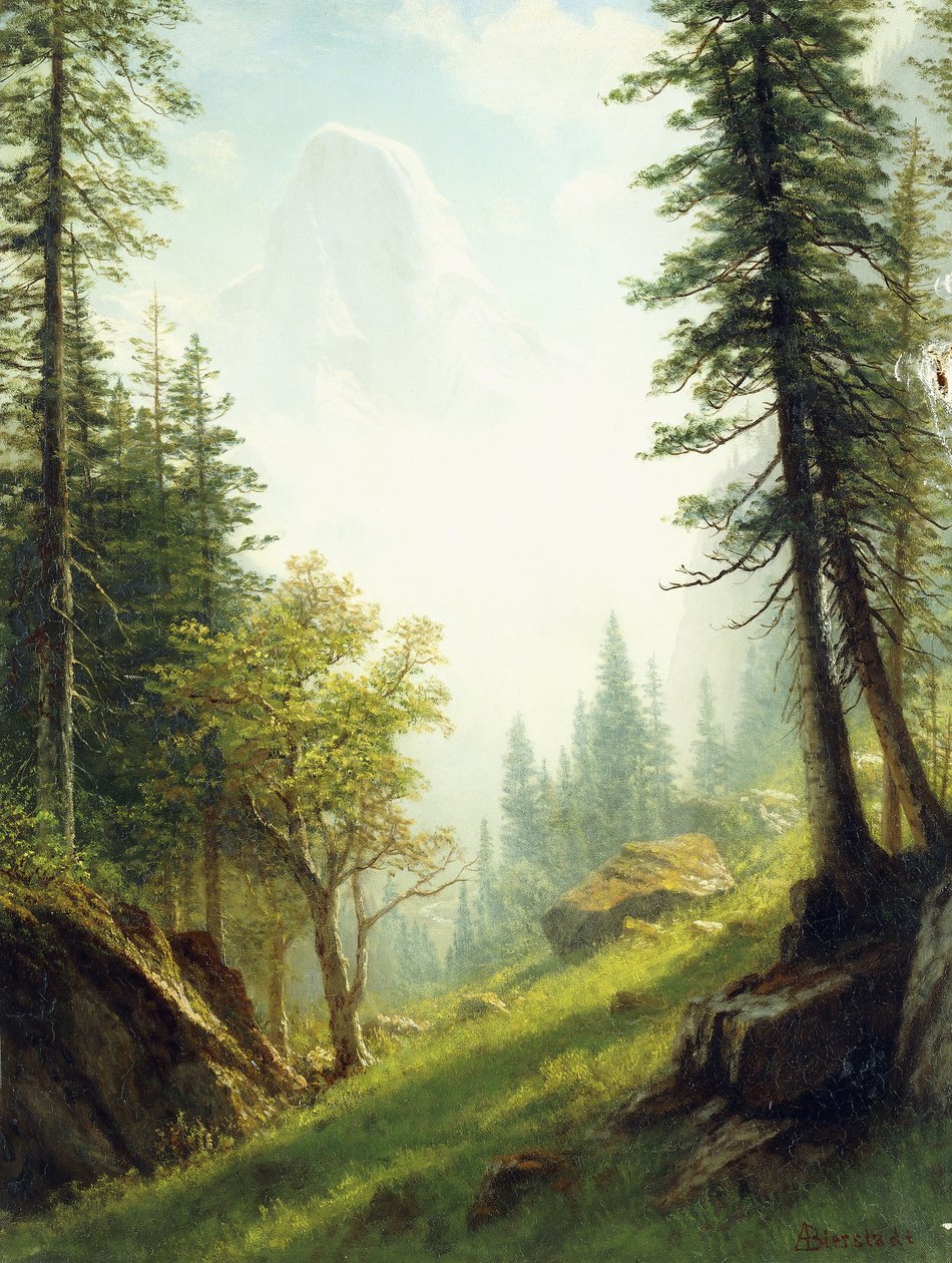 Parmi les Alpes bernoises - Albert Bierstadt