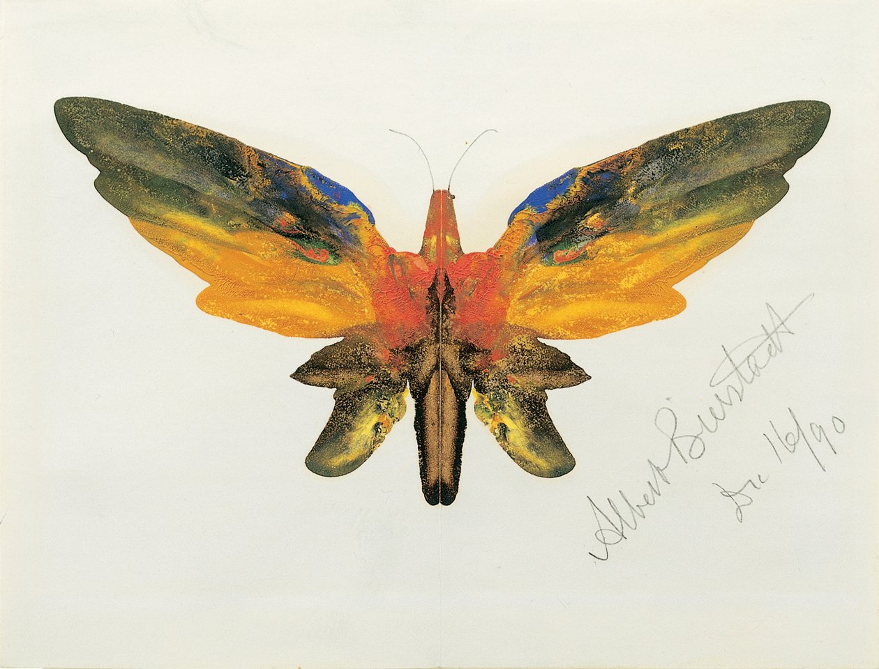 Papillon, 1890 - Albert Bierstadt