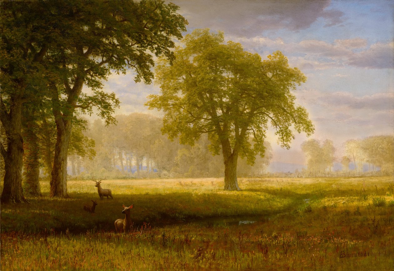 Elan à Oak Grove (Tuolumne Meadows) - Albert Bierstadt