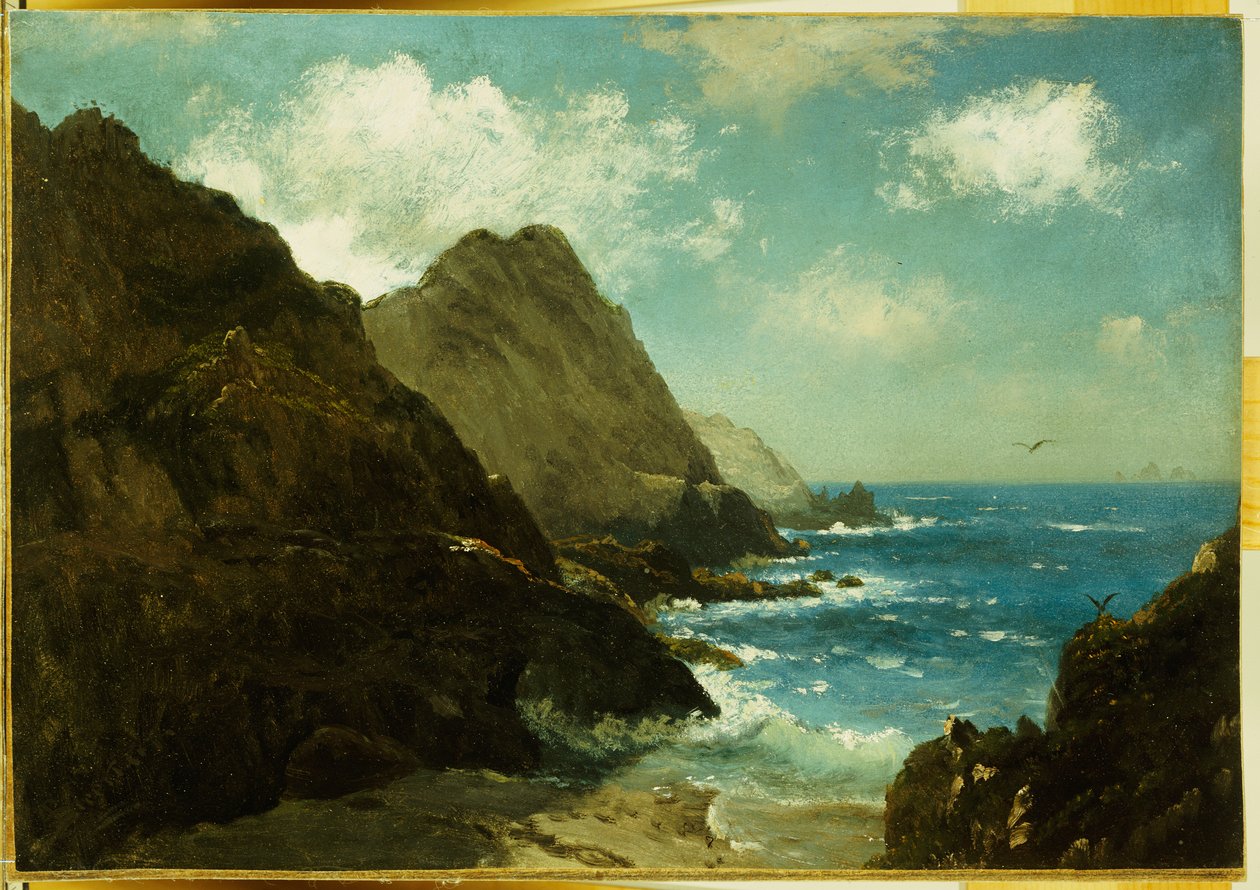 Îles Farallon - Albert Bierstadt