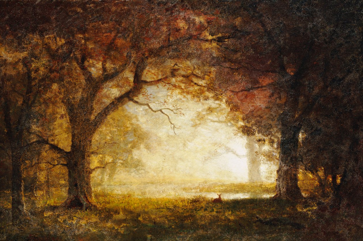 Lever de soleil en forêt - Albert Bierstadt