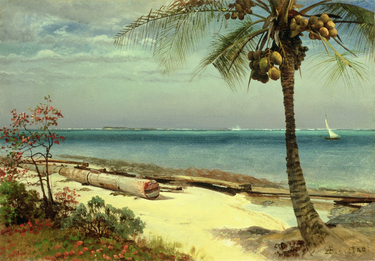 Image inconnue - Albert Bierstadt