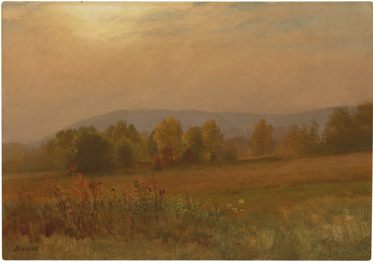 Image inconnue - Albert Bierstadt