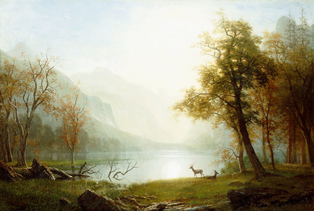 Vallée dans le King