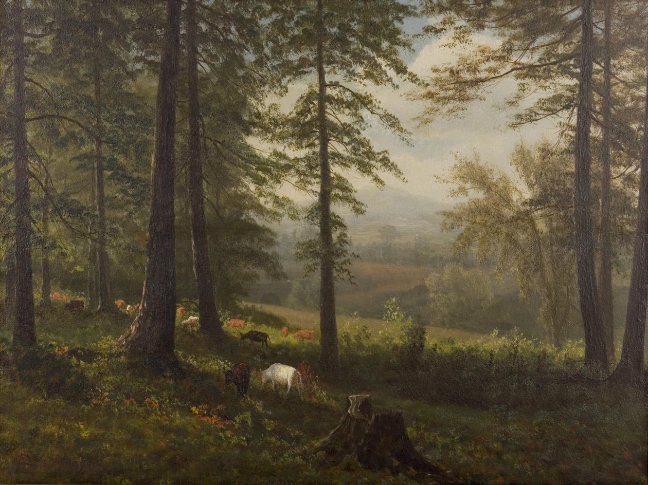 Vue sur une clairière - Albert Bierstadt