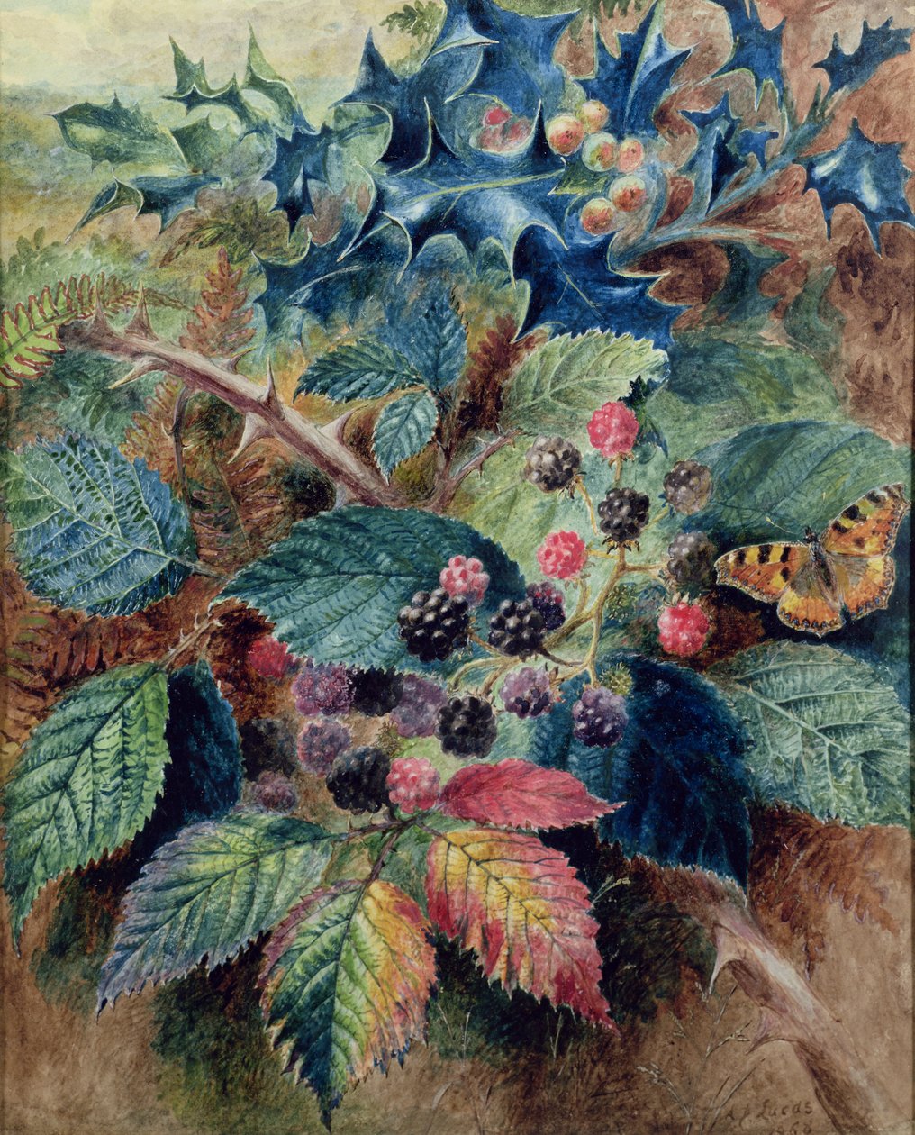 Mûres et houx avec un papillon - Albert Durer Lucas