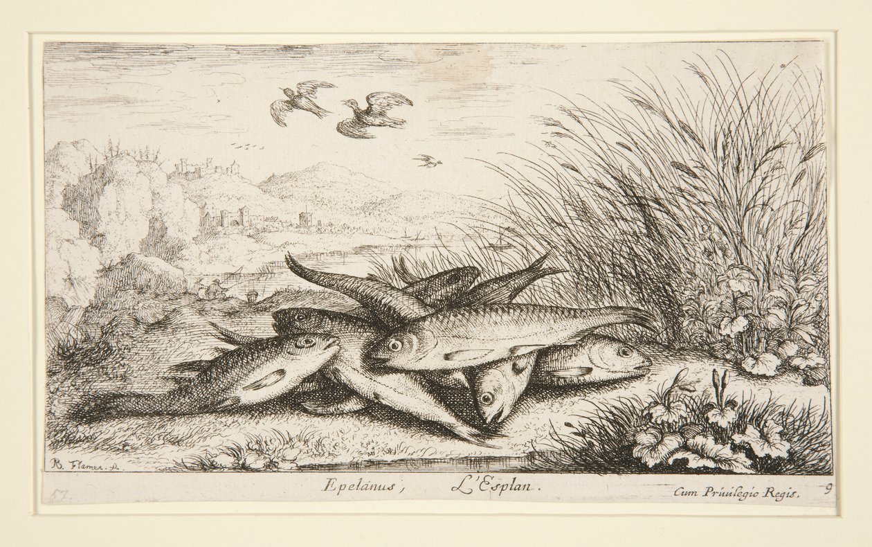 Epelanus, L - Albert Flamen